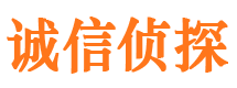 九龙坡找人公司